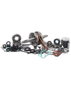 Complete Engine Rebuild Kit - VERT-WR101-018