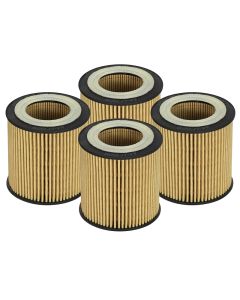 aFe POWER Pro GUARD HD Oil Filter Cartridge: 2.95in OD x 2.95in HT- AFE-44-LF029-MB
