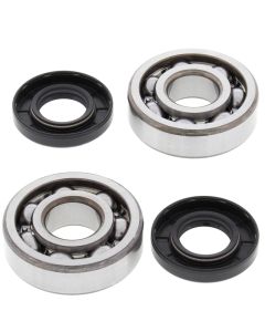 All Balls Racing 07-14 Cobra CX 65 Crank Shaft Bearing Kit - 24-1006