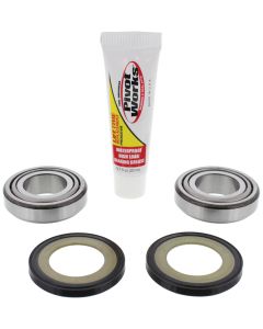 Pivot Works 00-09 Buell Blast PW Steering Stem Bearing Kit - PWSSK-HD01-000