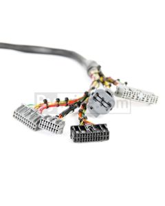 Rywire Honda B/D-Series Mil-Spec Eng Harness w/OBD1 Dist/Inj/Alternator & 92-95 Plugs (Adapter Req) - RY-B1-MILSPEC
