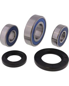 All Balls Racing 04-05 Kawasaki KLV1000 (Euro) Wheel Bearing Kit Rear - 25-1393