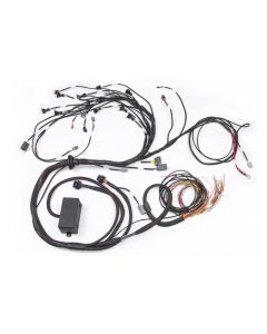 Haltech Elite 2000/2500 Terminated Engine Harness w/EV1 Injector Connectors - HT-130326