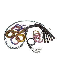 HAL NEXUS Wire-In Harnesses - HALT-HT-185200