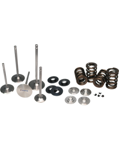 Ferrea Acura K20 Endurance Dual Spring Kit - KT4003