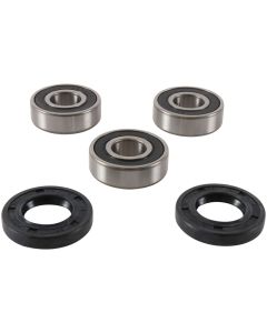 Pivot Works Rear Wheel Bearing Kit- PIVO-PWRWK-K09-008