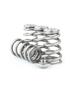 Toyota 3SGTE Valve Spring & Ti Retainer Kit - GSC-5067