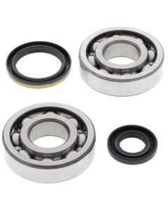 All Balls Racing 94-95 Suzuki RM250 Crank Shaft Bearing Kit - 24-1020