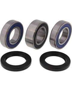 All Balls Racing 2019 Sherco SC-R 125 Wheel Bearing Kit Rear - 25-1556