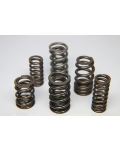 Ferrea Infiniti VR30DDTT Single Valve Spring - Set of 24 - S10169