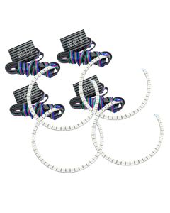 Oracle Lexus IS 300 01-05 Halo Kit - ColorSHIFT w/o Controller - 2342-334