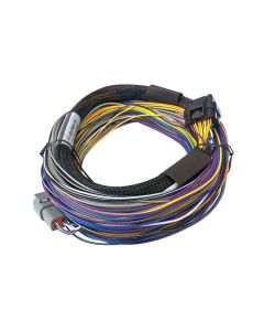 Haltech Elite 750 Basic Universal Wire-In Harness - 2.5m (8ft) - HT-140602