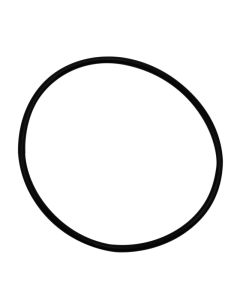 Wehrli S400 Compressor Outlet O-Ring Seal - WCF203-21