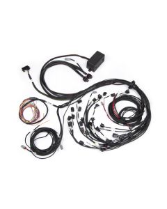 Haltech Elite 2500 Terminated Harness w/EV1 Injector Connectors - HT-141388