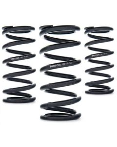 AST Linear Race Springs - 140mm Length x 80 N/mm Rate x 61mm ID - Single - AST-140-80-61