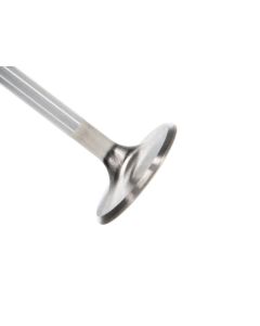 Manley Ford 4.6L DOHC (4 Valve) Triple Groove 37mm Race Master Intake Valves - Single - 11616-1