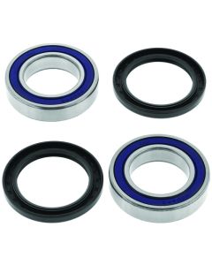 High-Performance QUAD-413359 Bearings by QBS