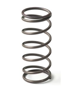 GFB EX50 9psi Wastegate Spring (Middle) - 7109