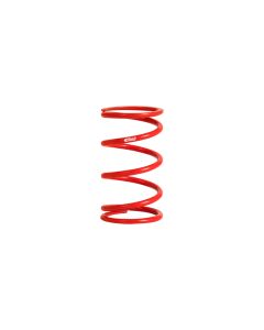 Eibach ERS 10.00 in. Length x 2.50 in. ID Coil-Over Spring - 1000.250.0200