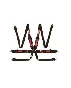 RaceQuip 6-Point Harness - FIA Approved - HANS Ready
