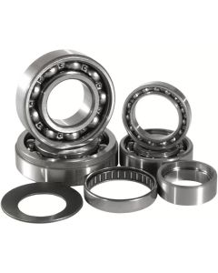 Hot Rods Transmission Bearing Kit Yamaha YFM660R Raptor 2001-2005- HOT-TBK0077