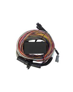 Haltech 2.5m Elite 750 Premium Universal Wire-In Harness- HALT-HT-140604