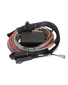 Haltech Elite 2500 & 2500 T Premium Universal 2.5m Wire-in Harness- HALT-HT-141304