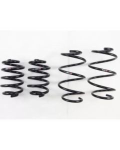 RS-R Down Suspension Lowering Springs Nissan Maxima 09-14- RS-R-N910D