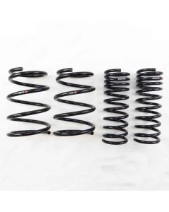 RS-R Down Springs for Subaru Crosstrek 2013-2017
