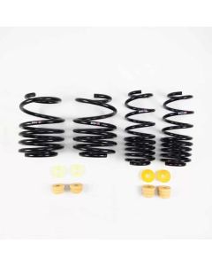 RS-R Super Down Suspension Springs Honda Civic Type R 2018+- RS-R-H059S