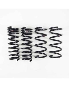 RS-R Down Suspension Springs Infiniti G35 2DR 2003-2007