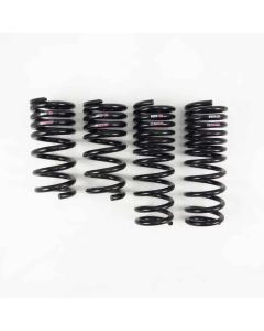 High-Performance RS-R TI2000 Springs for Nissan GT-R