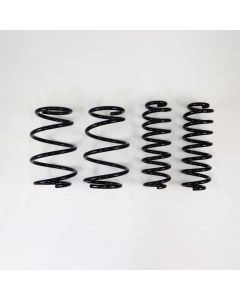 RS-R Down Suspension Springs Toyota RAV4 AWD 2019-2021- RS-R-T078D