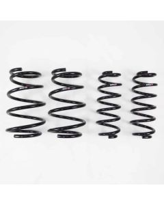 Upgrade Your Lexus ES350 with RS-R Down Springs