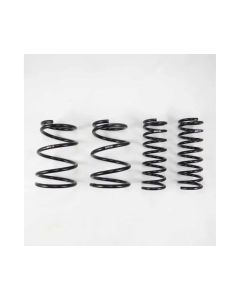 Enhance Your Subaru Outback 3.6R with RS-R Springs