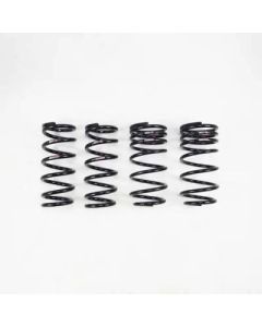 RS-R Ti2000 Down Suspension for Lexus LC500 2018+