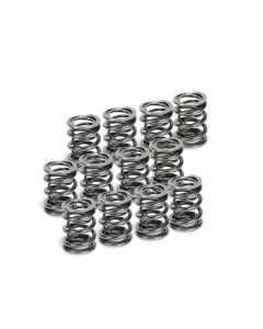 Supertech Set of 12 Dual Valve Spring Audi | Volkswagen 1994+- SUPE-SPR-V2093-4-12