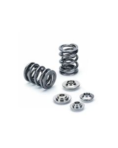 BMW E30/E36 Dual Valve Spring Kit 1989-1996 - 16pc Set