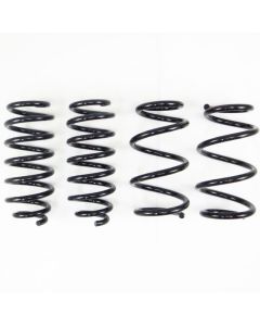 RS-R Down Suspension Titanium Springs Tesla Model 3 17-20