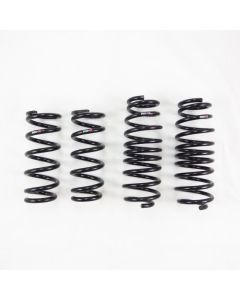 RSR Down Sus Springs - RS-R-N127D