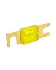 Snow 100 Amp Fuse - SNF-25012