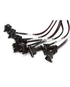 Haltech Elite 2000/2500 Terminated Harness w/EV1 Inj Connectors - HT-141376