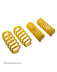 Enhance Ride Quality with STS Lowering Springs