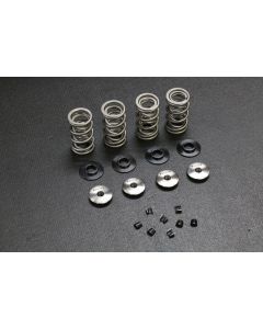 Ferrea Acura K20 High Lift Drag Racing Dual Spring Kit - KT4035