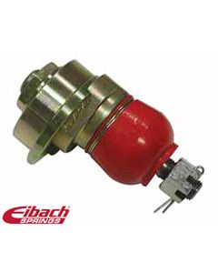 Eibach Pro-Alignment Camber Bolt Kit