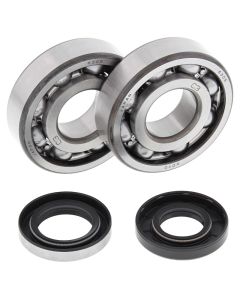 All Balls Racing 1993 Husqvarna CR250 Crank Shaft Bearing Kit - 24-1109