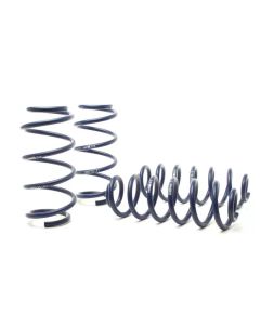 Enhance Your Buick Regal E2XX with H&R Sport Springs