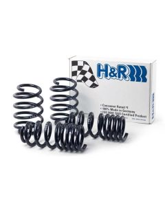 Enhance Your Ride: H&R Sport Springs for Taurus SHO