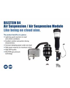 Bilstein B4 04-06 Mercedes-Benz E500 4Matic Right Rear Twintube Strut Assembly - 26-220055
