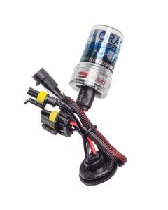 Oracle H11 Xenon HID Bulb - 6000K - 0012-013